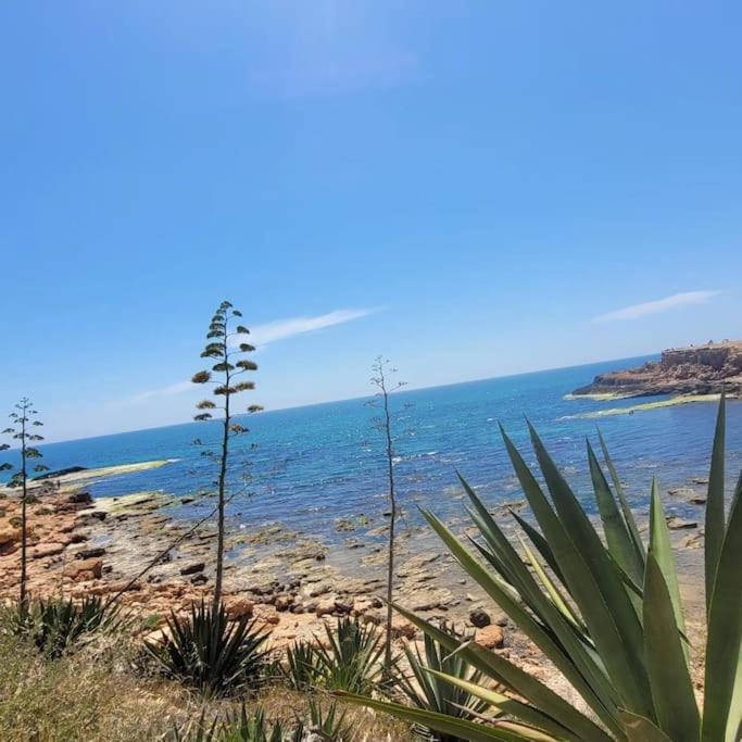 Belle Mar Sea View Studio Torrevieja Esterno foto